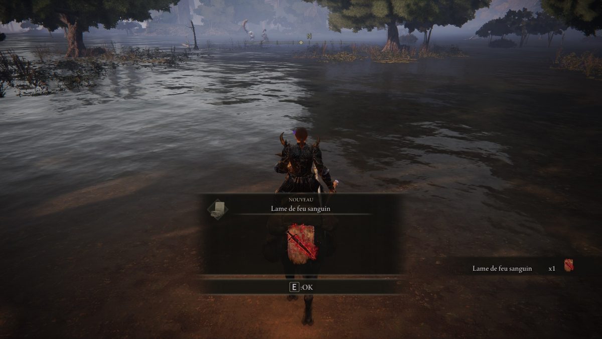 Lame de feu sanguin Elden Ring DLC, comment avoir le sort dans Shadow of the Erdtree ? Breakflip